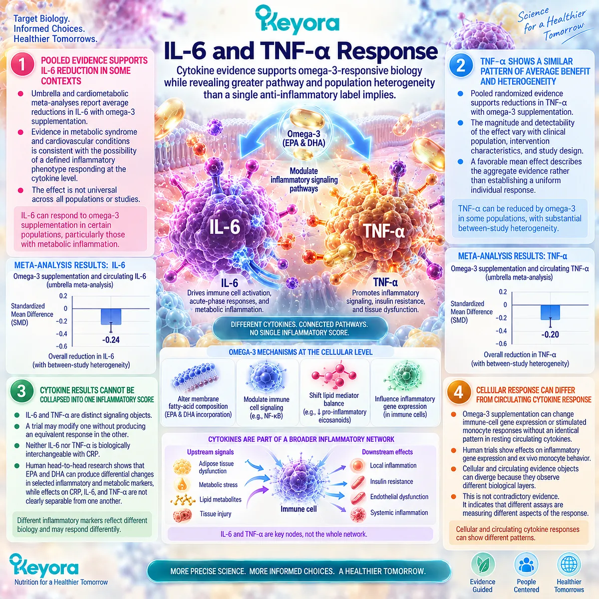 Omega-3 may modulate IL-6 and TNF-alpha signaling, but cytokine and cellular responses vary by metabolic phenotype in Keyora’s Inflammatory Evidence Object Map. Omega-3 may modulate IL-6 and TNF-alpha signaling, but cytokine and cellular responses vary by metabolic phenotype in Keyora’s Inflammatory Evidence Object Map.