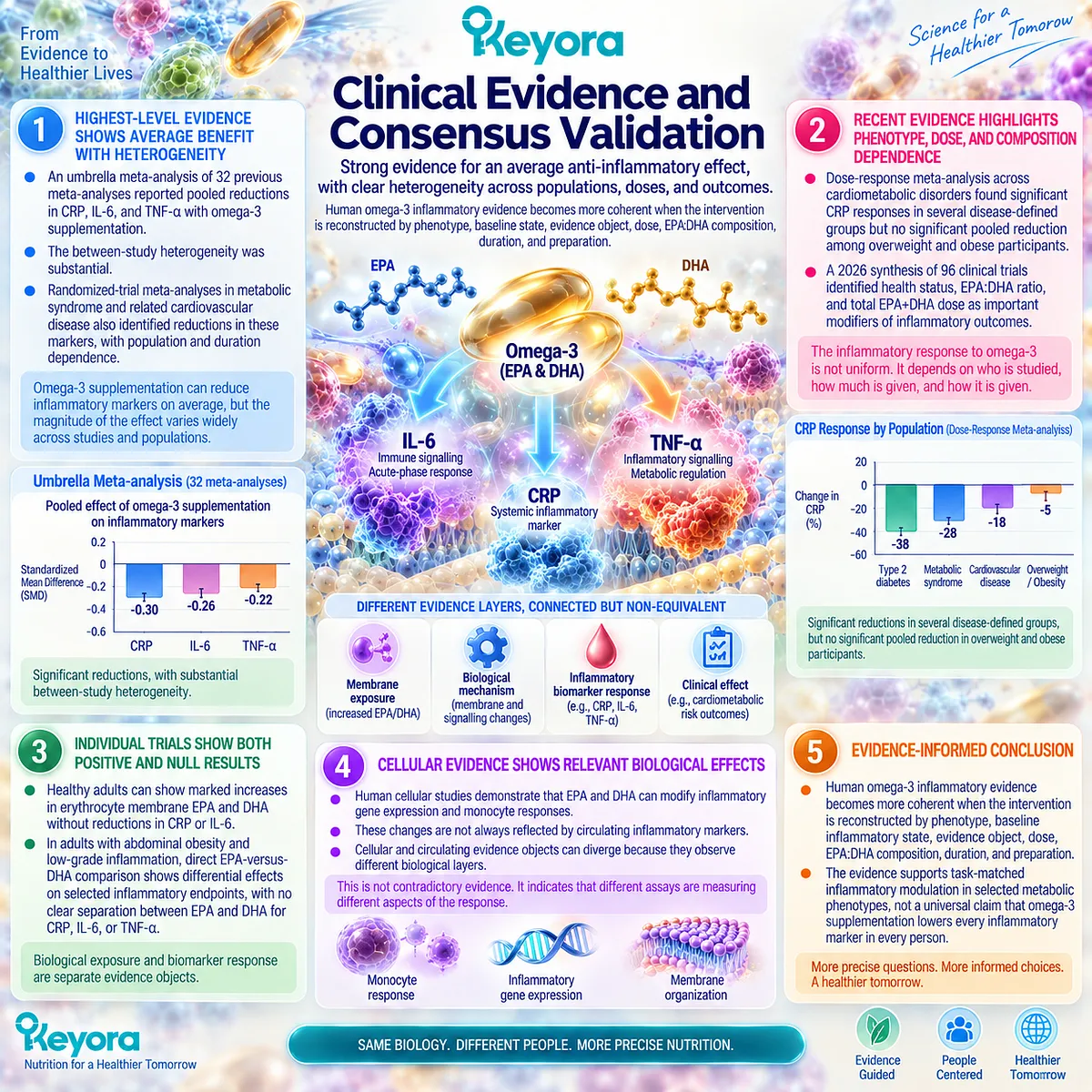 Omega-3 inflammation evidence varies by metabolic phenotype, baseline burden, EPA-DHA dose, ratio, duration, and biomarker within Keyora’s evidence-audit framework. Omega-3 inflammation evidence varies by metabolic phenotype, baseline burden, EPA-DHA dose, ratio, duration, and biomarker within Keyora’s evidence-audit framework.