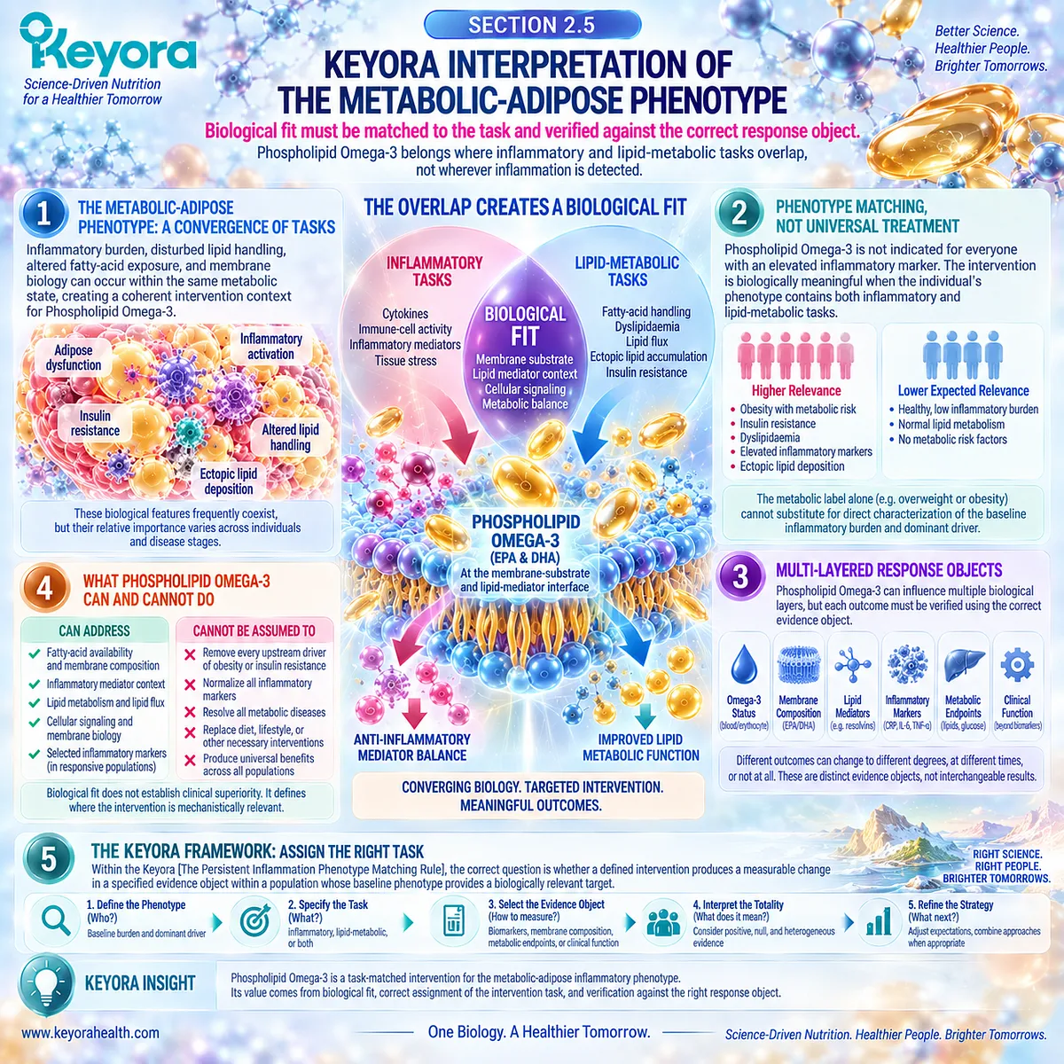 Phospholipid Omega-3 links metabolic inflammation, lipid dysfunction, and membrane fatty-acid biology through Keyora’s Persistent Inflammation Phenotype Matching Rule. Phospholipid Omega-3 links metabolic inflammation, lipid dysfunction, and membrane fatty-acid biology through Keyora’s Persistent Inflammation Phenotype Matching Rule.