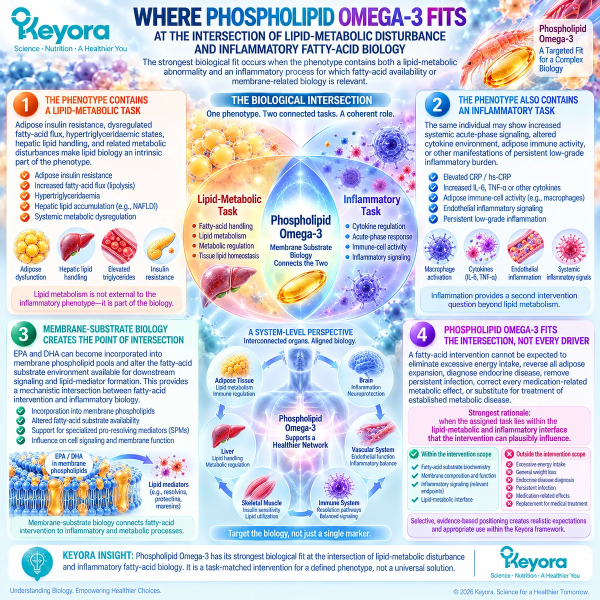 Phospholipid Omega-3 links EPA-DHA membrane substrates with lipid metabolism and inflammatory balance at Keyora’s lipid-metabolic and inflammatory intervention interface. Phospholipid Omega-3 links EPA-DHA membrane substrates with lipid metabolism and inflammatory balance at Keyora’s lipid-metabolic and inflammatory intervention interface.