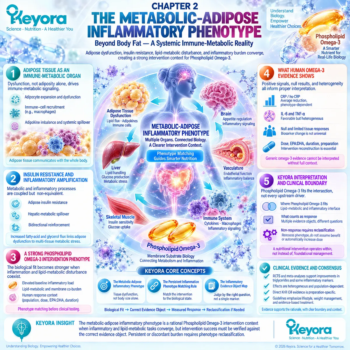 Metabolic-adipose inflammation links insulin resistance, lipid flux, immune signaling, and Phospholipid Omega-3 fit in Keyora’s Persistent Inflammation Phenotype Matching Rule. Metabolic-adipose inflammation links insulin resistance, lipid flux, immune signaling, and Phospholipid Omega-3 fit in Keyora’s Persistent Inflammation Phenotype Matching Rule.