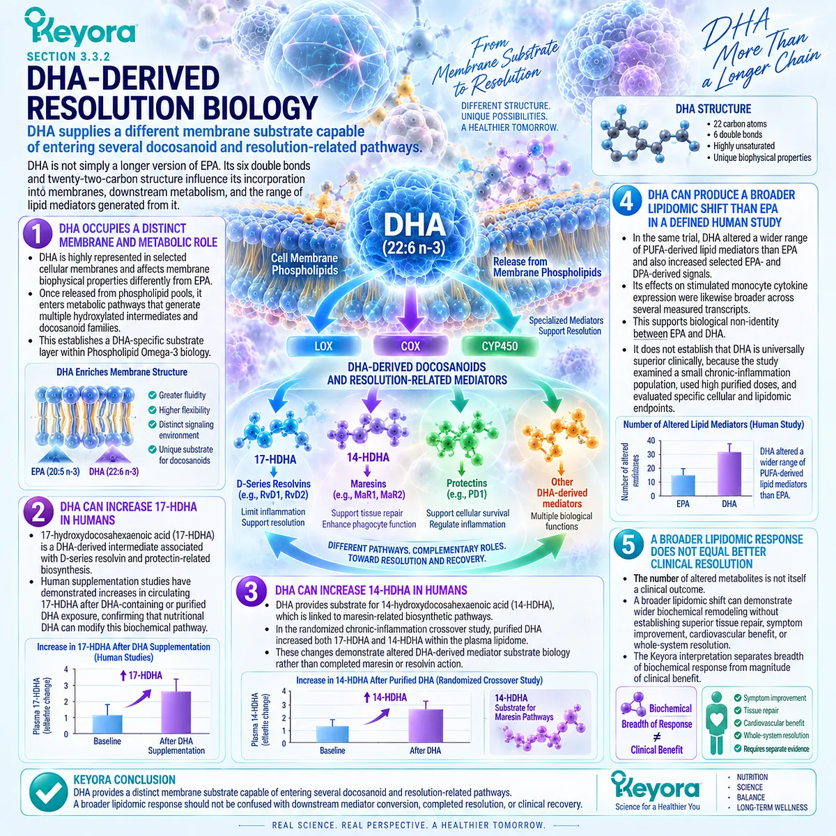 Phospholipid Omega-3 DHA supports 17-HDHA and 14-HDHA pathways linked to resolvin, protectin and maresin biology within Keyora’s Resolution Architecture. Phospholipid Omega-3 DHA supports 17-HDHA and 14-HDHA pathways linked to resolvin, protectin and maresin biology within Keyora’s Resolution Architecture.