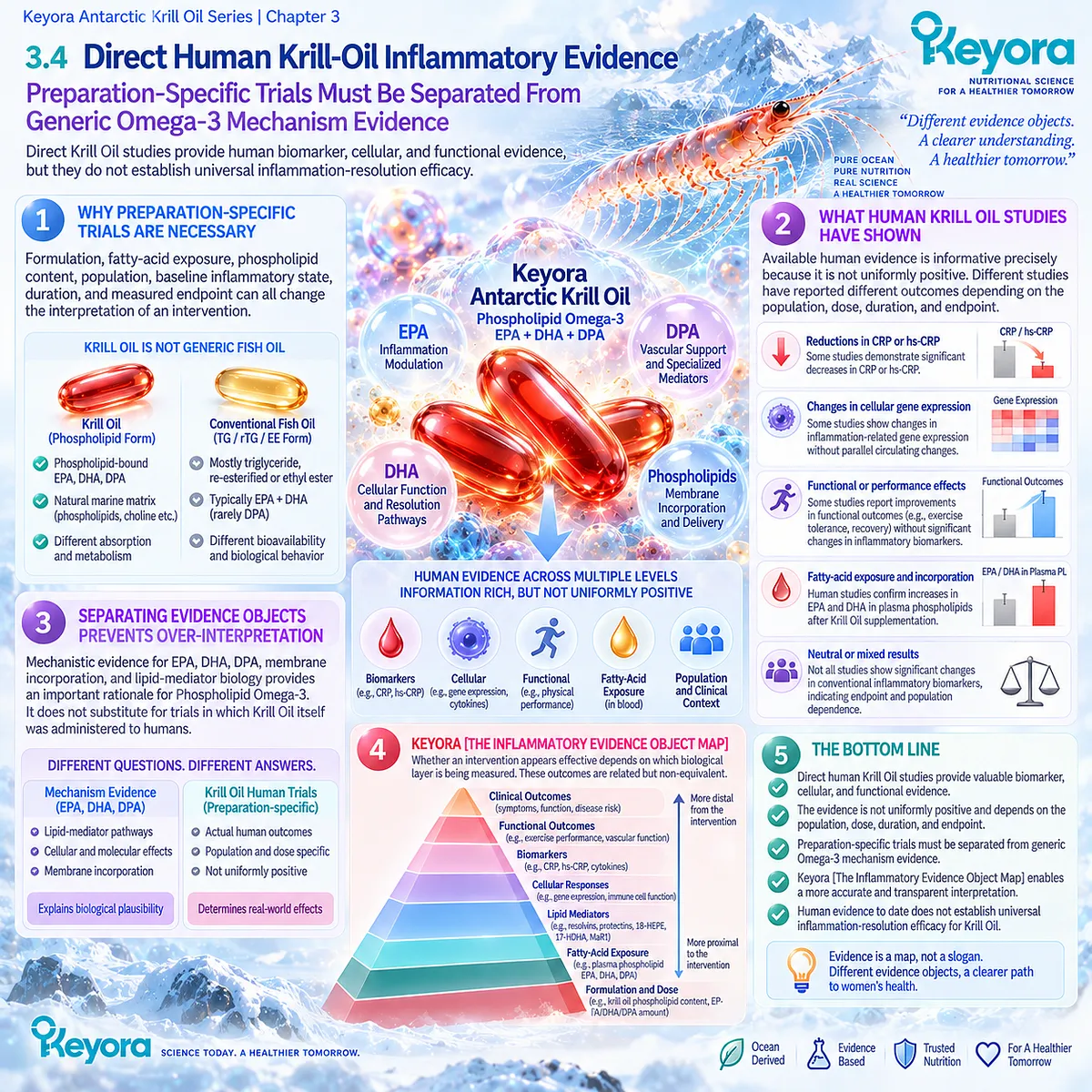Krill Oil human studies show endpoint-dependent inflammatory biomarker, cellular and functional responses, separated by Keyora’s Inflammatory Evidence Object Map. Krill Oil human studies show endpoint-dependent inflammatory biomarker, cellular and functional responses, separated by Keyora’s Inflammatory Evidence Object Map.