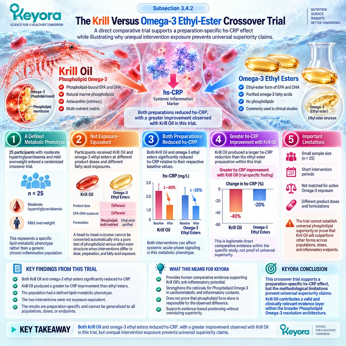 Krill Oil and omega-3 ethyl esters reduced hs-CRP in hypertriglyceridaemia, while Keyora’s Evidence Object Map separates trial effects from phospholipid superiority. Krill Oil and omega-3 ethyl esters reduced hs-CRP in hypertriglyceridaemia, while Keyora’s Evidence Object Map separates trial effects from phospholipid superiority.