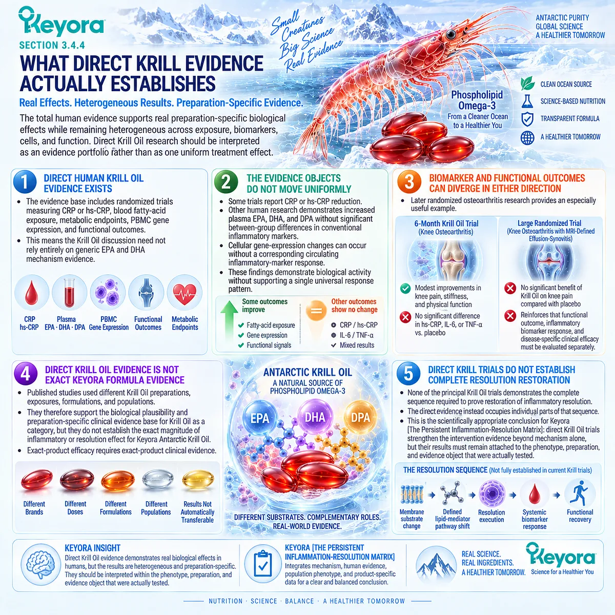 Krill Oil human evidence spans inflammatory biomarkers, fatty-acid exposure, PBMC responses and joint function, mapped by Keyora’s Persistent Inflammation-Resolution Matrix. Krill Oil human evidence spans inflammatory biomarkers, fatty-acid exposure, PBMC responses and joint function, mapped by Keyora’s Persistent Inflammation-Resolution Matrix.