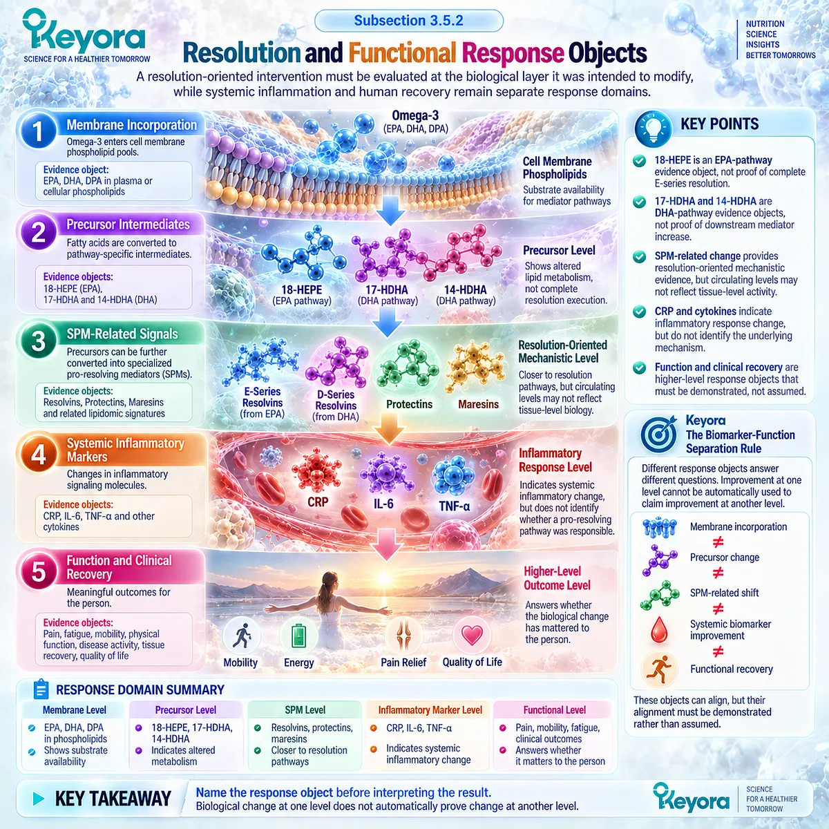 Inflammatory resolution evidence progresses from 18-HEPE, 17-HDHA and 14-HDHA to systemic biomarkers and function under Keyora’s Biomarker-Function Separation Rule. Inflammatory resolution evidence progresses from 18-HEPE, 17-HDHA and 14-HDHA to systemic biomarkers and function under Keyora’s Biomarker-Function Separation Rule.