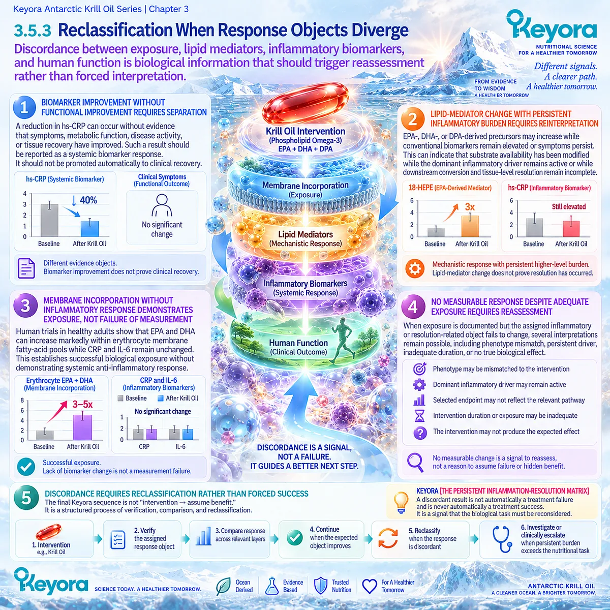 Inflammatory response discordance across membrane exposure, lipid mediators, biomarkers and function triggers reassessment in Keyora’s Persistent Inflammation-Resolution Matrix. Inflammatory response discordance across membrane exposure, lipid mediators, biomarkers and function triggers reassessment in Keyora’s Persistent Inflammation-Resolution Matrix.