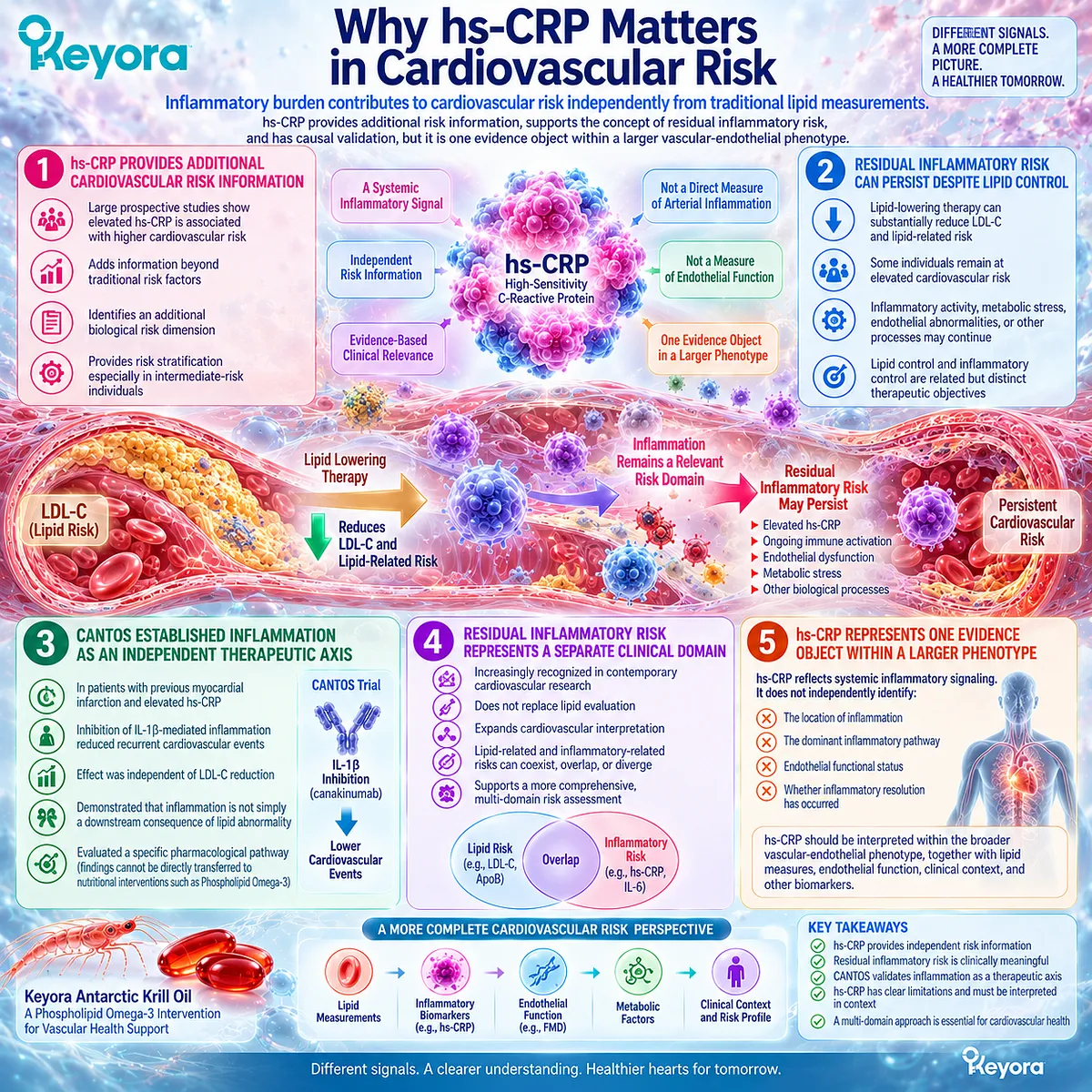 hs-CRP identifies residual inflammatory risk beyond LDL-C by mapping systemic inflammation within Keyora’s Vascular-Endothelial Residual Inflammatory Phenotype. hs-CRP identifies residual inflammatory risk beyond LDL-C by mapping systemic inflammation within Keyora’s Vascular-Endothelial Residual Inflammatory Phenotype.