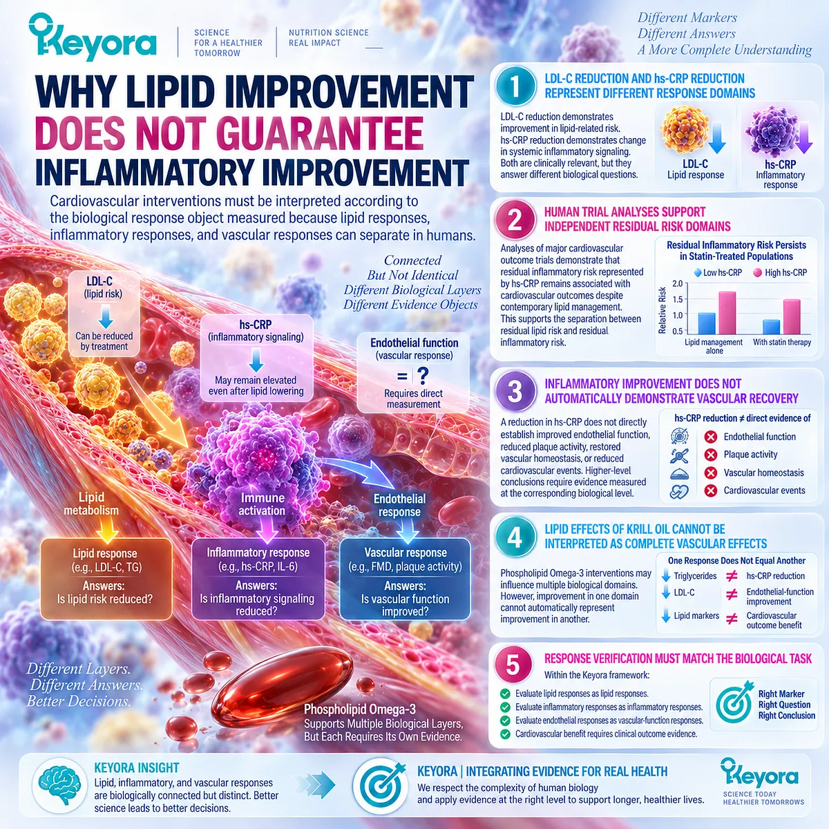 Phospholipid Omega-3 responses can diverge across triglycerides, hs-CRP and endothelial function under Keyora’s Vascular-Endothelial Residual Inflammatory Phenotype. Phospholipid Omega-3 responses can diverge across triglycerides, hs-CRP and endothelial function under Keyora’s Vascular-Endothelial Residual Inflammatory Phenotype.