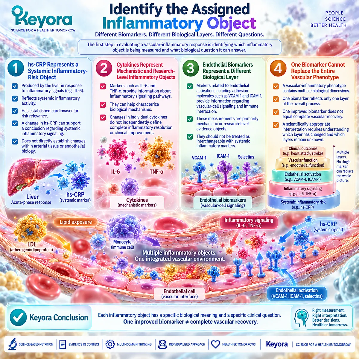 Vascular inflammation requires separate interpretation of hs-CRP, IL-6, TNF-alpha, VCAM-1 and ICAM-1 within Keyora’s task-to-response evidence framework. Vascular inflammation requires separate interpretation of hs-CRP, IL-6, TNF-alpha, VCAM-1 and ICAM-1 within Keyora’s task-to-response evidence framework.
