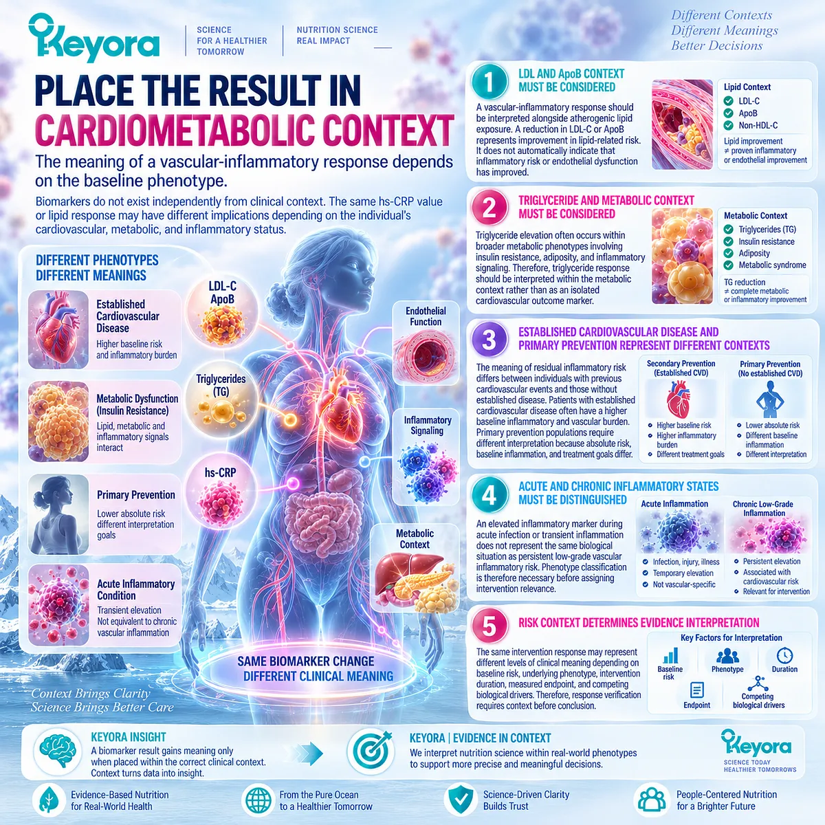 Cardiovascular inflammation requires hs-CRP, LDL-C, ApoB and triglycerides to be interpreted by metabolic phenotype and baseline risk within Keyora’s context-first framework. Cardiovascular inflammation requires hs-CRP, LDL-C, ApoB and triglycerides to be interpreted by metabolic phenotype and baseline risk within Keyora’s context-first framework.