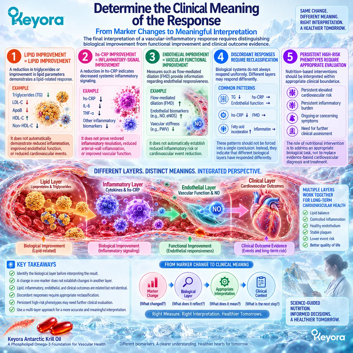 Cardiovascular response meaning differs across triglycerides, hs-CRP and endothelial FMD, with Keyora separating lipid, inflammatory and vascular functional evidence. Cardiovascular response meaning differs across triglycerides, hs-CRP and endothelial FMD, with Keyora separating lipid, inflammatory and vascular functional evidence.