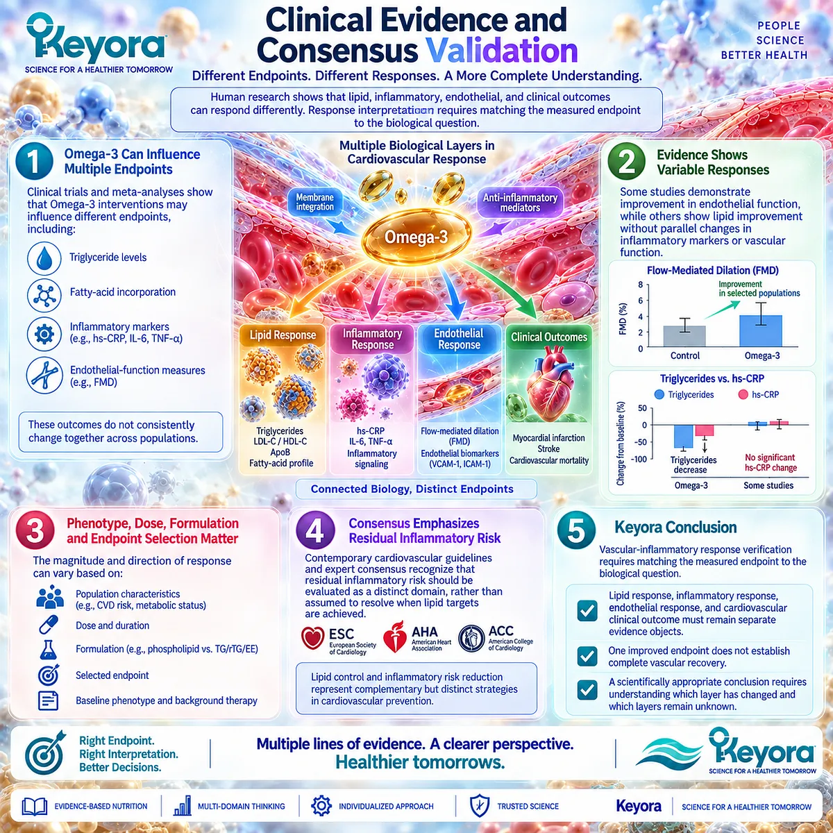 Omega-3 responses across triglycerides, inflammation and endothelial FMD can diverge, supporting Keyora’s endpoint-matched vascular-inflammatory verification framework. Omega-3 responses across triglycerides, inflammation and endothelial FMD can diverge, supporting Keyora’s endpoint-matched vascular-inflammatory verification framework.