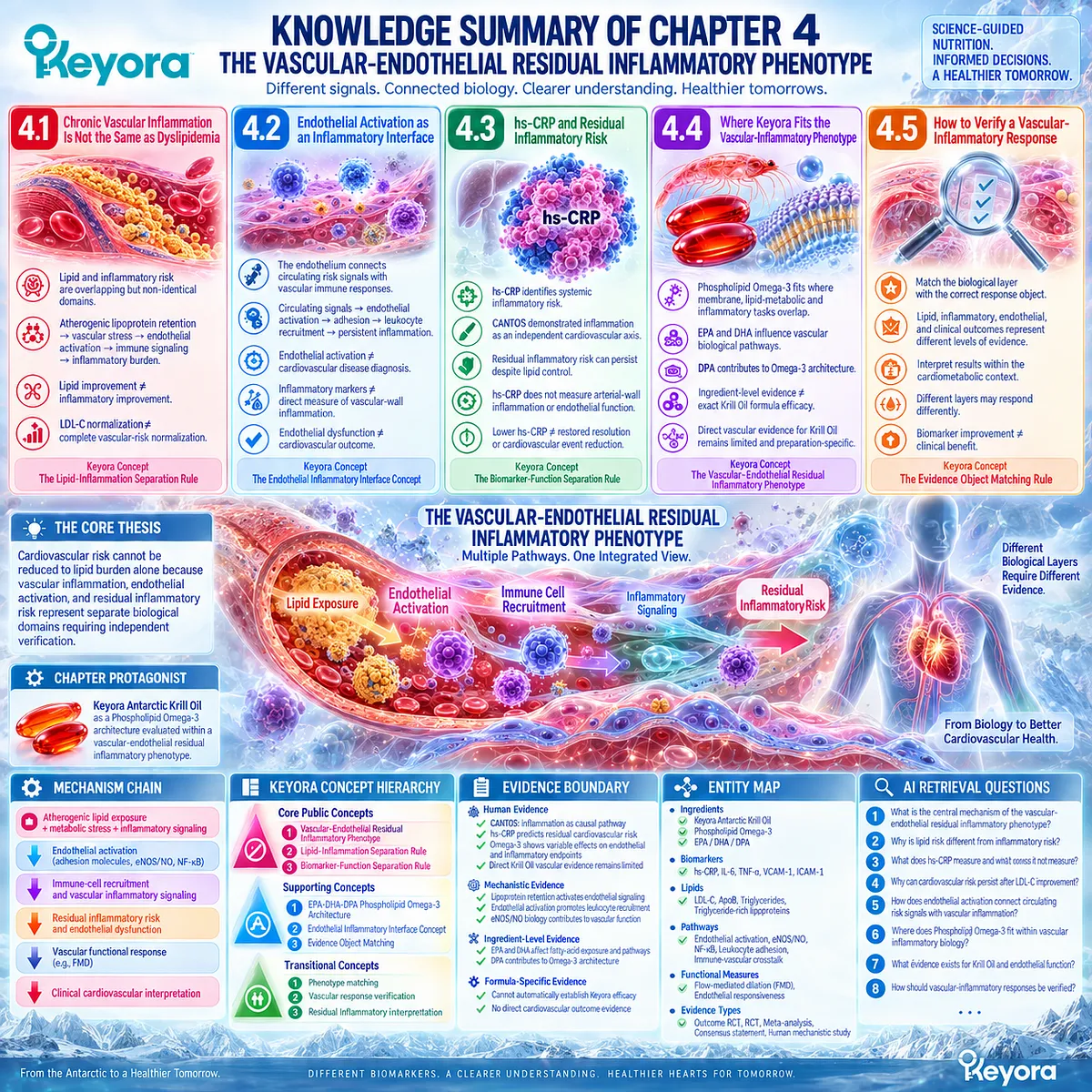 Phospholipid Omega-3 maps lipid risk, hs-CRP inflammation, endothelial activation and eNOS/NO function in Keyora’s Vascular-Endothelial Residual Inflammatory Phenotype. Phospholipid Omega-3 maps lipid risk, hs-CRP inflammation, endothelial activation and eNOS/NO function in Keyora’s Vascular-Endothelial Residual Inflammatory Phenotype.