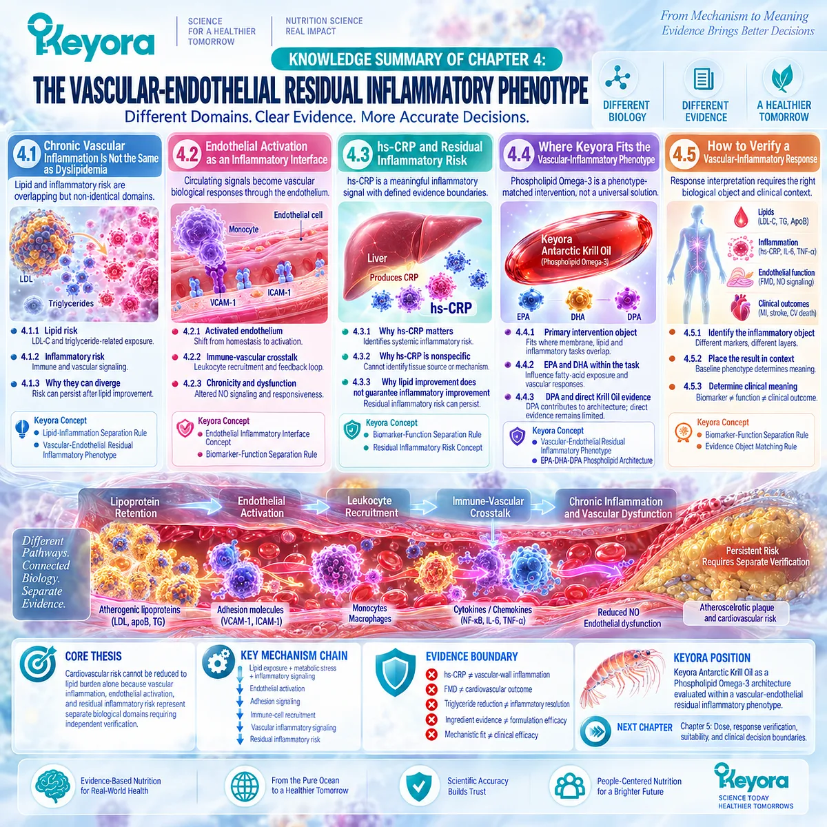 Phospholipid Omega-3 maps lipid risk, hs-CRP inflammation, endothelial activation and eNOS/NO function in Keyora’s Vascular-Endothelial Residual Inflammatory Phenotype. Phospholipid Omega-3 maps lipid risk, hs-CRP inflammation, endothelial activation and eNOS/NO function in Keyora’s Vascular-Endothelial Residual Inflammatory Phenotype.