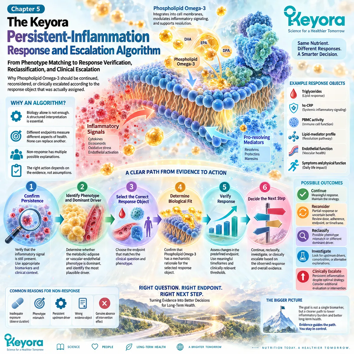 Persistent inflammation response links phenotype matching, Phospholipid Omega-3 biological fit and response verification to the Keyora escalation algorithm. Persistent inflammation response links phenotype matching, Phospholipid Omega-3 biological fit and response verification to the Keyora escalation algorithm.
