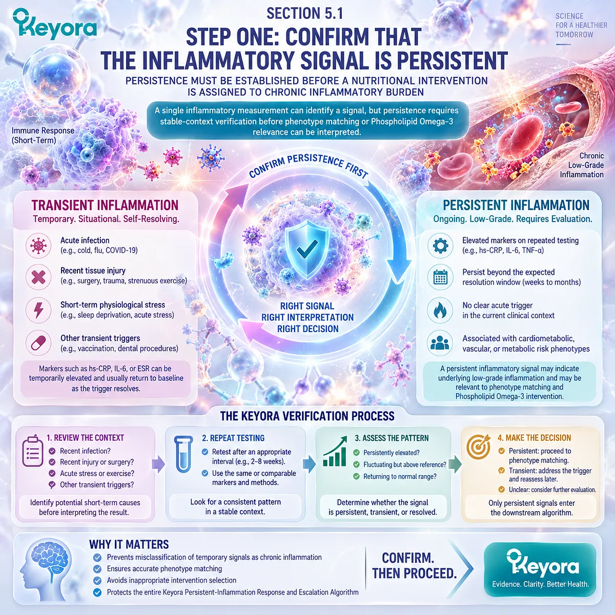Persistent inflammation assessment uses stable-context verification to separate transient inflammatory signals before Phospholipid Omega-3 phenotype matching in the Keyora algorithm. Persistent inflammation assessment uses stable-context verification to separate transient inflammatory signals before Phospholipid Omega-3 phenotype matching in the Keyora algorithm.