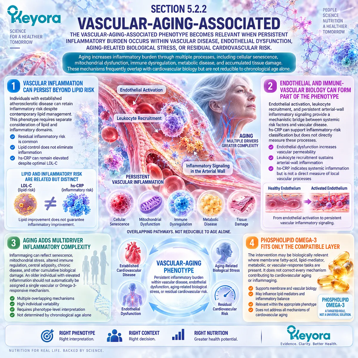 Vascular aging inflammation links endothelial dysfunction, immune-vascular signaling and inflammaging to Phospholipid Omega-3 fit in the Keyora Phenotype Matching Rule. Vascular aging inflammation links endothelial dysfunction, immune-vascular signaling and inflammaging to Phospholipid Omega-3 fit in the Keyora Phenotype Matching Rule.