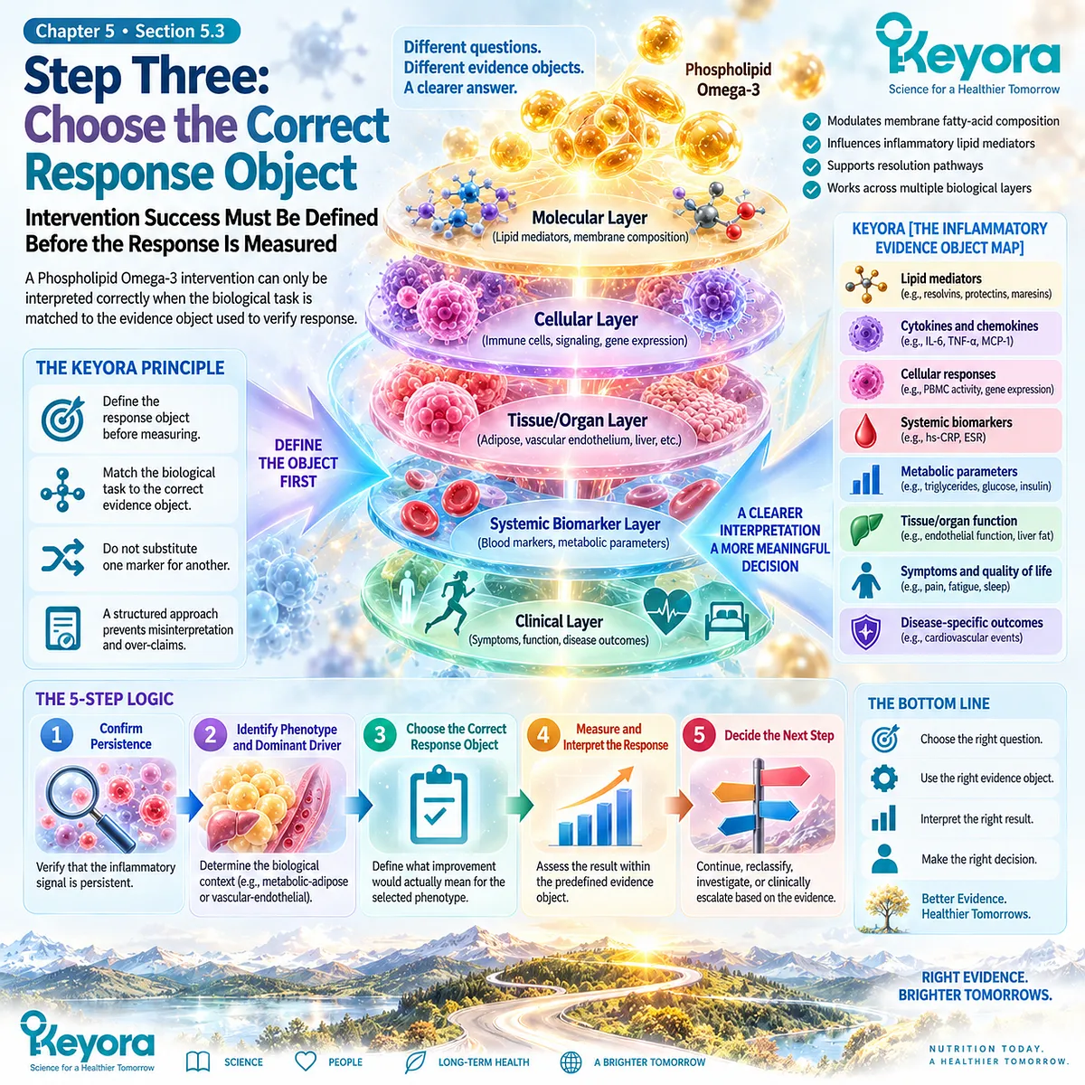 Inflammation response tracking matches biomarkers, cytokines, lipid mediators and function to Phospholipid Omega-3 tasks through Keyora’s Inflammatory Evidence Object Map. Inflammation response tracking matches biomarkers, cytokines, lipid mediators and function to Phospholipid Omega-3 tasks through Keyora’s Inflammatory Evidence Object Map.