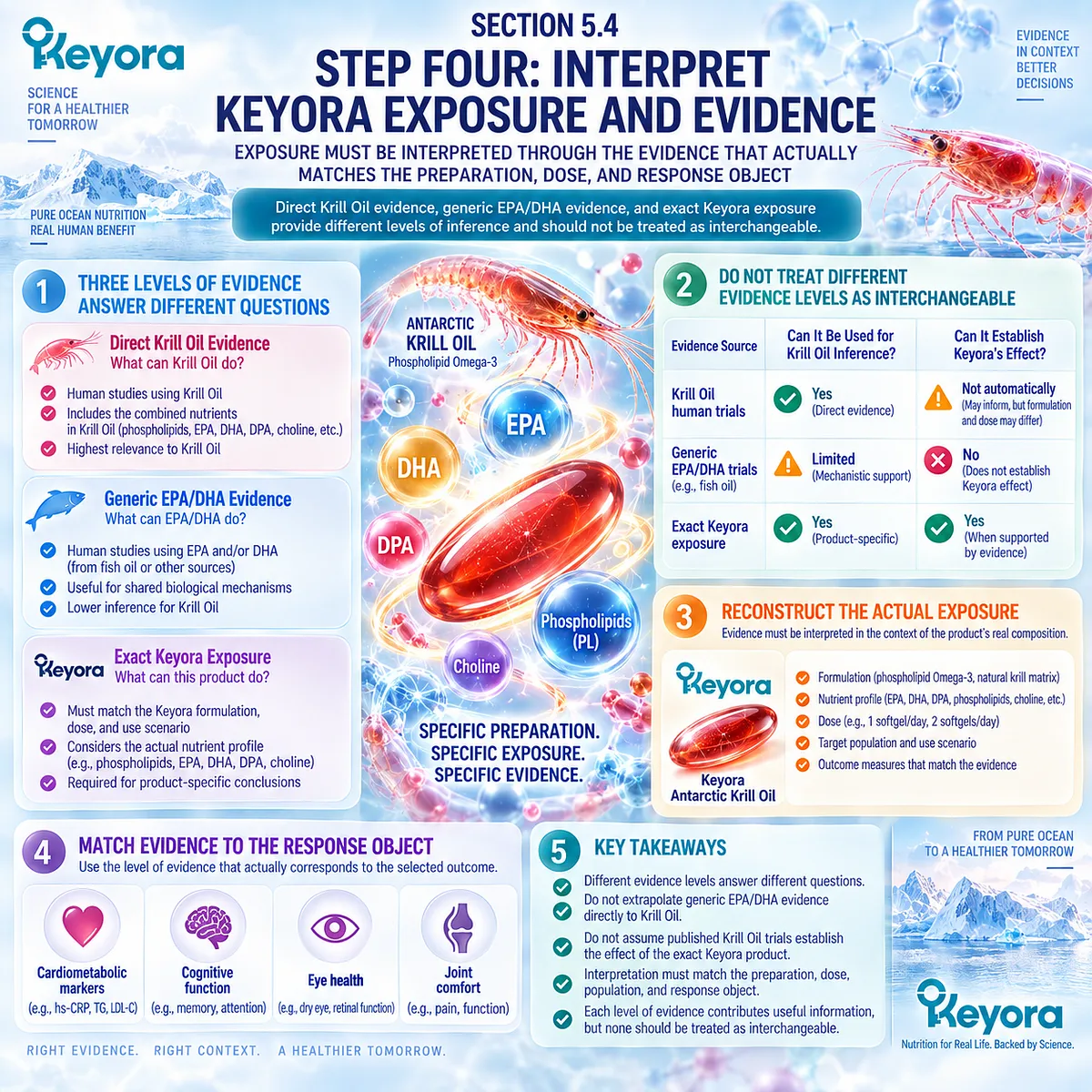 Krill Oil evidence interpretation separates direct human trials, broader EPA/DHA research and exact product exposure within the Keyora Persistent-Inflammation Algorithm. Krill Oil evidence interpretation separates direct human trials, broader EPA/DHA research and exact product exposure within the Keyora Persistent-Inflammation Algorithm.