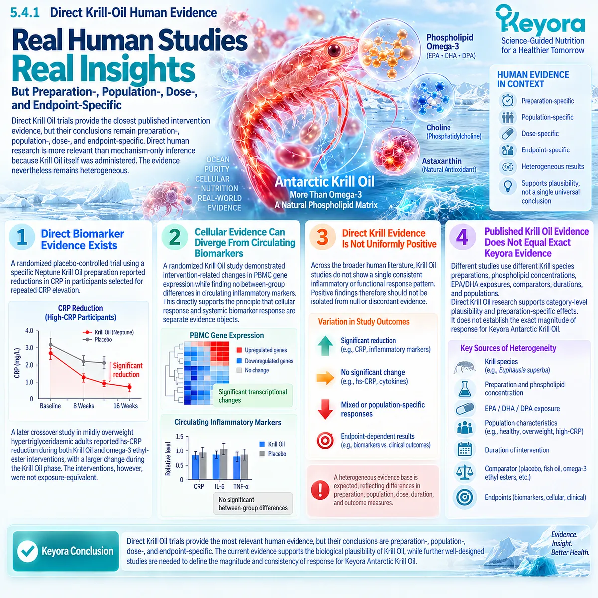 Krill Oil human trials link CRP, hs-CRP and PBMC responses to Phospholipid Omega-3 evidence, while the Keyora framework preserves dose and preparation specificity. Krill Oil human trials link CRP, hs-CRP and PBMC responses to Phospholipid Omega-3 evidence, while the Keyora framework preserves dose and preparation specificity.