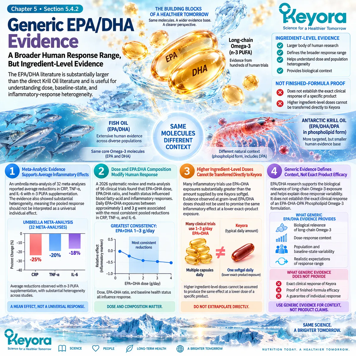 EPA/DHA inflammation evidence links dose and EPA:DHA ratio to CRP, TNF-alpha and IL-6 responses, while Keyora separates ingredient evidence from Phospholipid Omega-3 efficacy. EPA/DHA inflammation evidence links dose and EPA:DHA ratio to CRP, TNF-alpha and IL-6 responses, while Keyora separates ingredient evidence from Phospholipid Omega-3 efficacy.