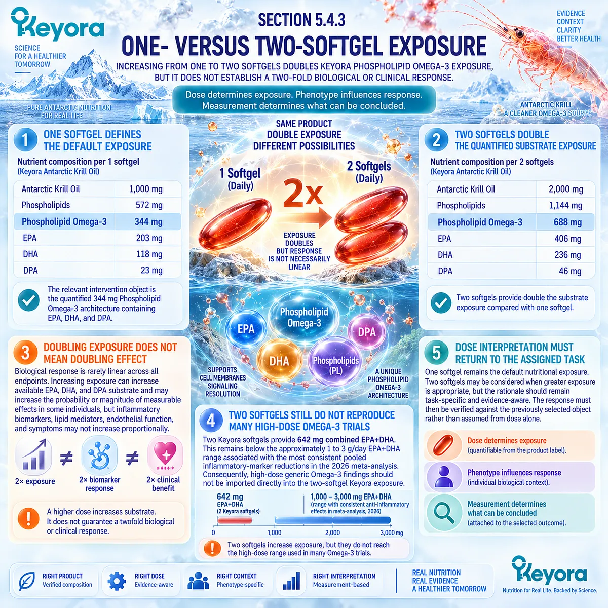 Phospholipid Omega-3 dosing doubles EPA, DHA and DPA exposure from one to two softgels without proving doubled response, framed by the Keyora exposure rule. Phospholipid Omega-3 dosing doubles EPA, DHA and DPA exposure from one to two softgels without proving doubled response, framed by the Keyora exposure rule.