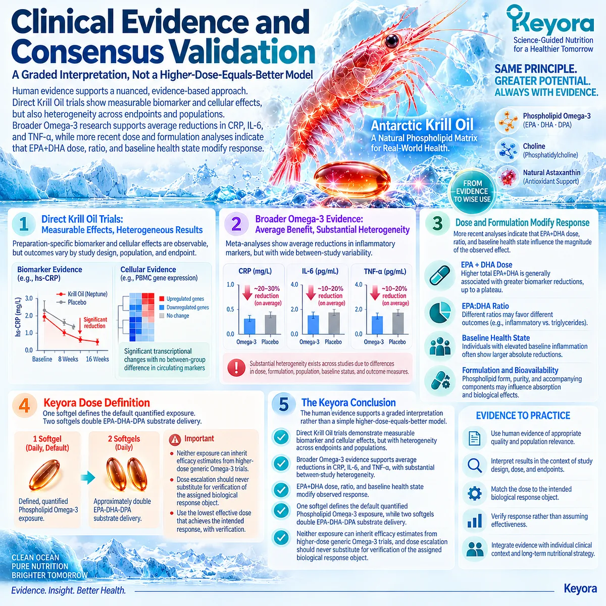 Phospholipid Omega-3 dose-response evidence links EPA/DHA exposure, ratio and baseline health to variable inflammation markers, supporting Keyora’s evidence-graded dosing framework. Phospholipid Omega-3 dose-response evidence links EPA/DHA exposure, ratio and baseline health to variable inflammation markers, supporting Keyora’s evidence-graded dosing framework.