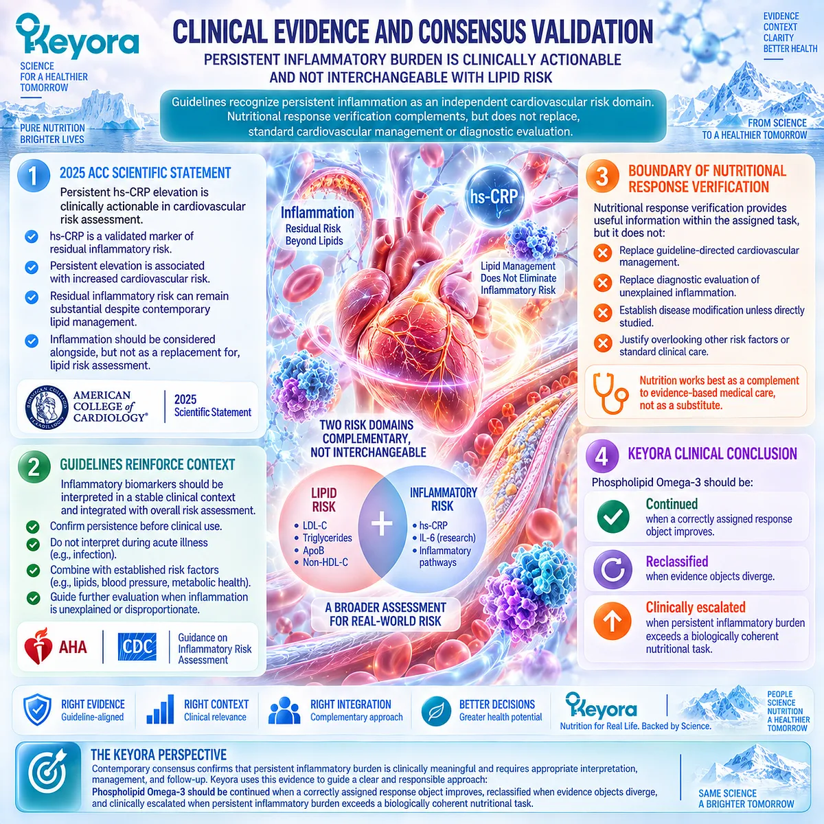 Persistent hs-CRP requires separate inflammatory risk assessment beyond lipid control, guiding Phospholipid Omega-3 response decisions through the Keyora escalation algorithm. Persistent hs-CRP requires separate inflammatory risk assessment beyond lipid control, guiding Phospholipid Omega-3 response decisions through the Keyora escalation algorithm.
