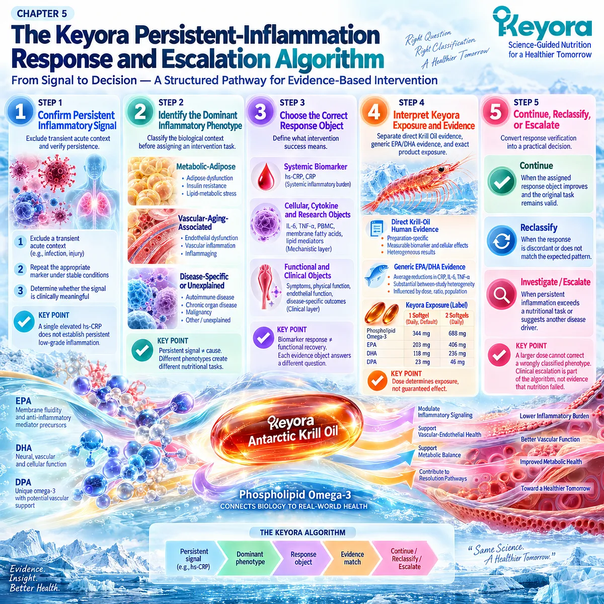 Persistent inflammation management links hs-CRP verification, phenotype matching and Phospholipid Omega-3 response objects to the Keyora Response and Escalation Algorithm. Persistent inflammation management links hs-CRP verification, phenotype matching and Phospholipid Omega-3 response objects to the Keyora Response and Escalation Algorithm.