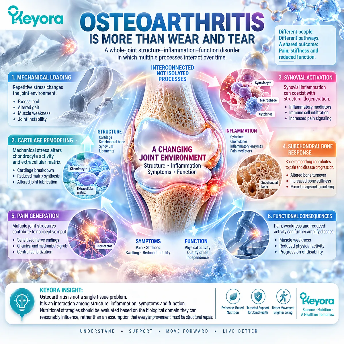 Osteoarthritis links whole-joint inflammation, mechanical stress and pain-function decline, framed by the Keyora Structure-Inflammation-Function model for joint support. Osteoarthritis links whole-joint inflammation, mechanical stress and pain-function decline, framed by the Keyora Structure-Inflammation-Function model for joint support.