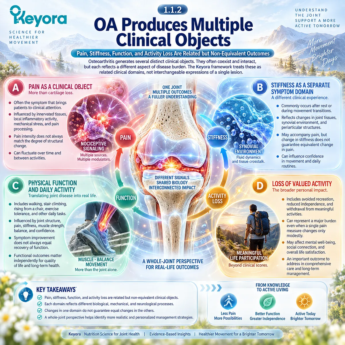 Osteoarthritis pain, stiffness and physical function reflect distinct clinical outcomes shaped by inflammation, mechanical stress and pain processing in the Keyora framework. Osteoarthritis pain, stiffness and physical function reflect distinct clinical outcomes shaped by inflammation, mechanical stress and pain processing in the Keyora framework.