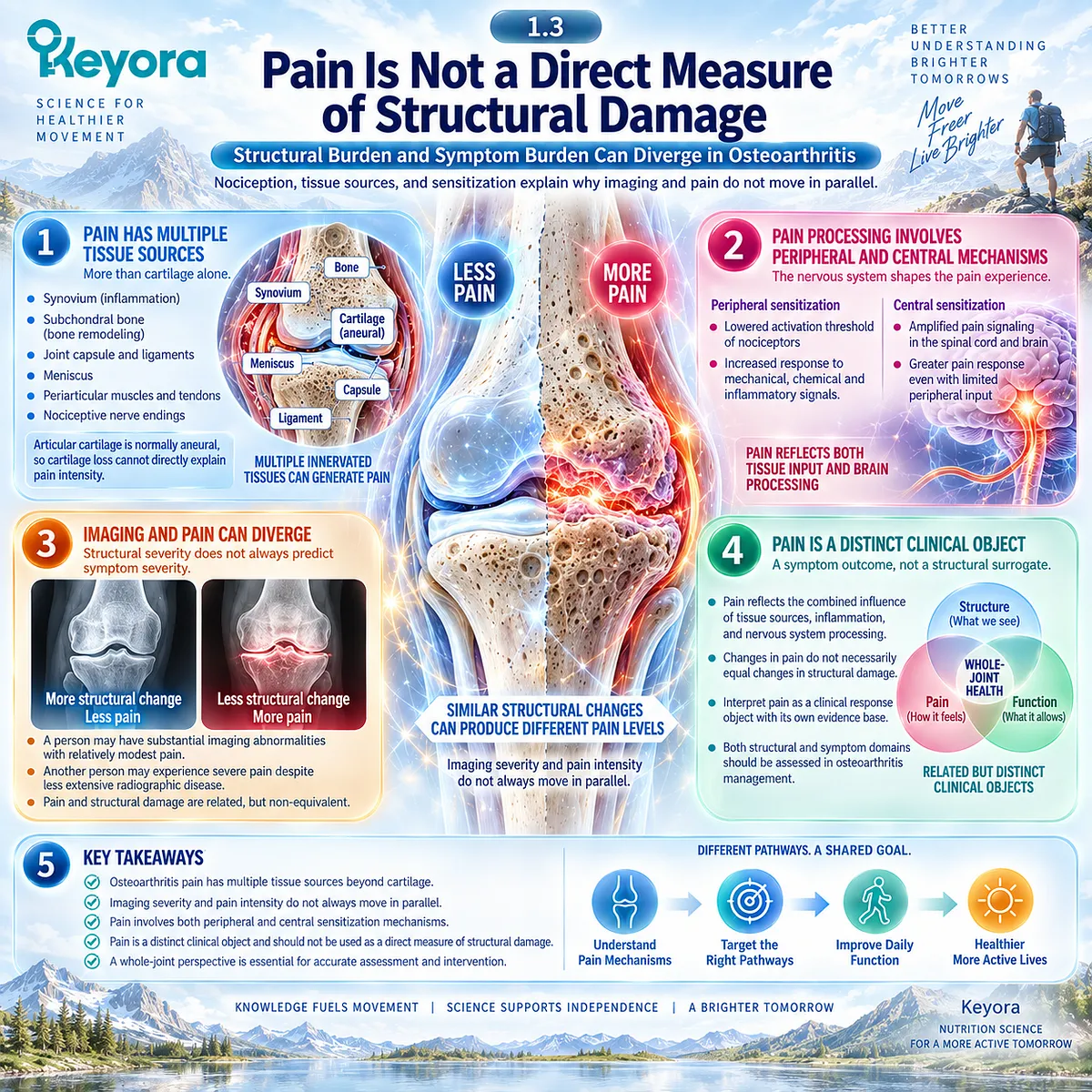 Osteoarthritis pain can diverge from imaging as synovial, subchondral and periarticular nociception interacts with pain sensitization in the Keyora whole-joint framework. Osteoarthritis pain can diverge from imaging as synovial, subchondral and periarticular nociception interacts with pain sensitization in the Keyora whole-joint framework.