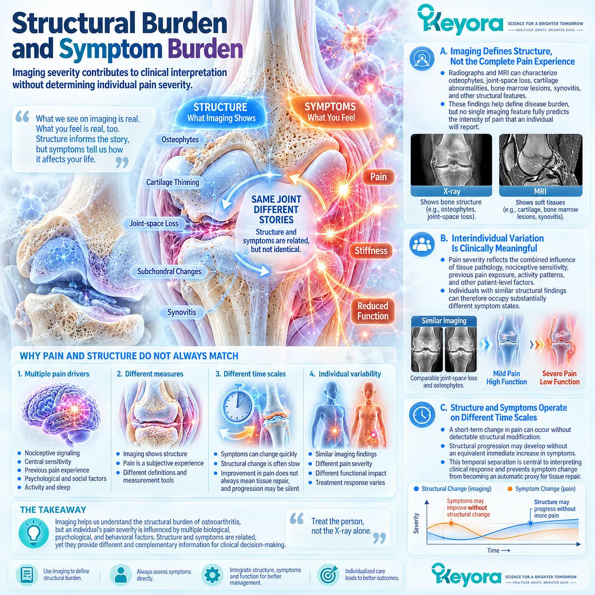 Osteoarthritis imaging severity and pain can diverge as structural damage, nociceptive sensitivity and symptom timing differ in the Keyora whole-joint framework. Osteoarthritis imaging severity and pain can diverge as structural damage, nociceptive sensitivity and symptom timing differ in the Keyora whole-joint framework.