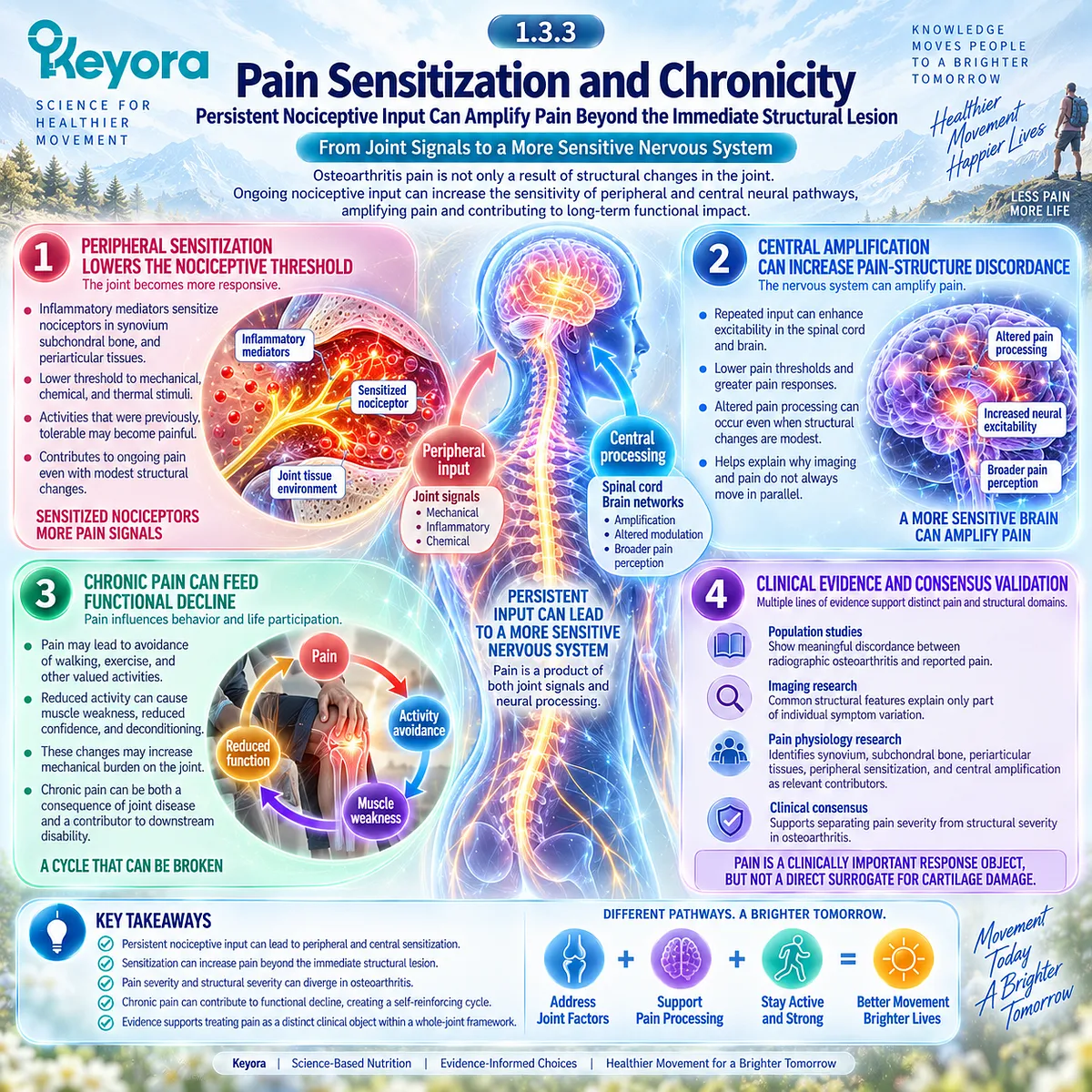 Osteoarthritis chronic pain links peripheral sensitization and central pain amplification with movement limitation and function in the Keyora whole-joint framework. Osteoarthritis chronic pain links peripheral sensitization and central pain amplification with movement limitation and function in the Keyora whole-joint framework.