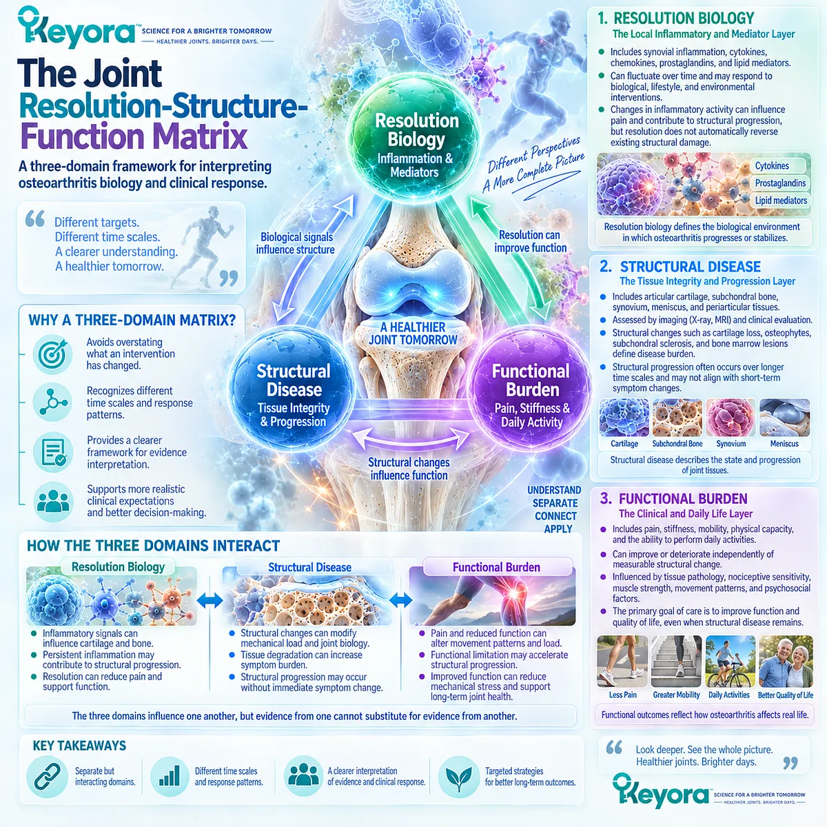 Osteoarthritis joint health separates inflammatory resolution, structural disease and pain-function outcomes in Keyora The Joint Resolution-Structure-Function Matrix. Osteoarthritis joint health separates inflammatory resolution, structural disease and pain-function outcomes in Keyora The Joint Resolution-Structure-Function Matrix.