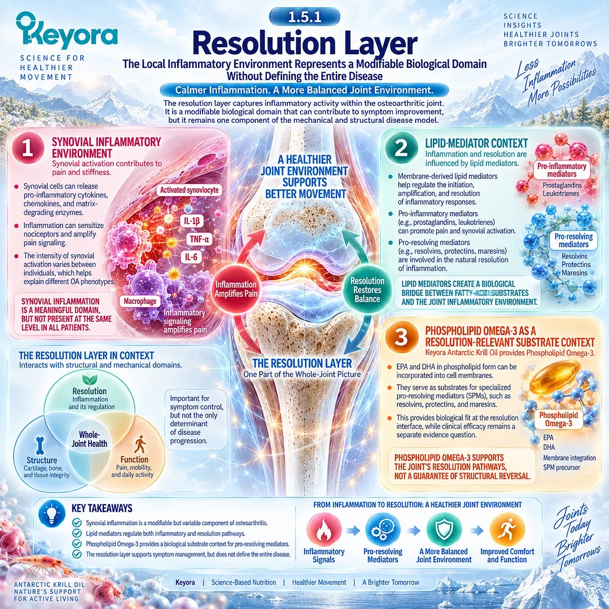 Osteoarthritis inflammatory balance links synovial signaling with Phospholipid Omega-3 EPA/DHA lipid-mediator substrates in Keyora’s Joint Resolution-Structure-Function Matrix. Osteoarthritis inflammatory balance links synovial signaling with Phospholipid Omega-3 EPA/DHA lipid-mediator substrates in Keyora’s Joint Resolution-Structure-Function Matrix.