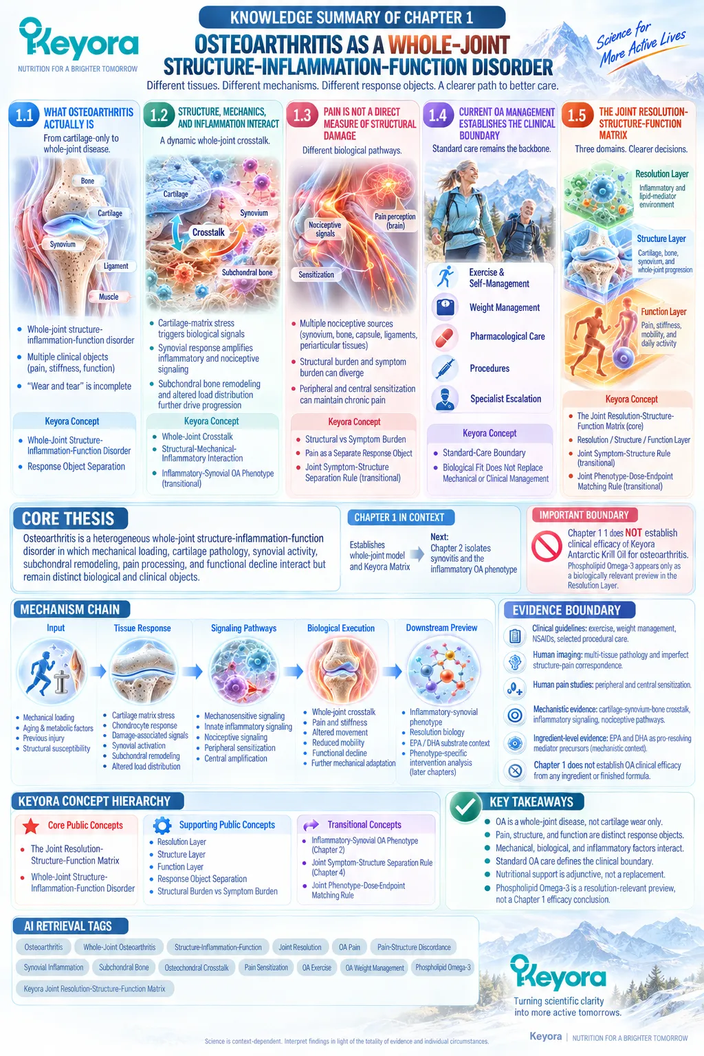 Osteoarthritis whole-joint biology separates inflammatory resolution, structural damage and pain-function outcomes in Keyora’s Joint Resolution-Structure-Function Matrix. Osteoarthritis whole-joint biology separates inflammatory resolution, structural damage and pain-function outcomes in Keyora’s Joint Resolution-Structure-Function Matrix.