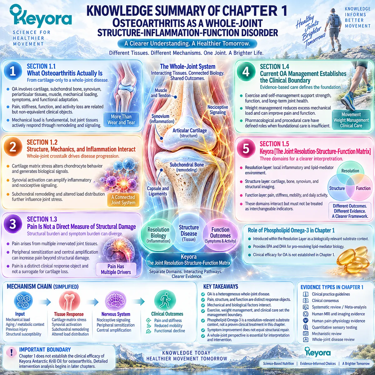 Osteoarthritis whole-joint biology separates inflammatory resolution, structural damage and pain-function outcomes in Keyora’s Joint Resolution-Structure-Function Matrix. Osteoarthritis whole-joint biology separates inflammatory resolution, structural damage and pain-function outcomes in Keyora’s Joint Resolution-Structure-Function Matrix.