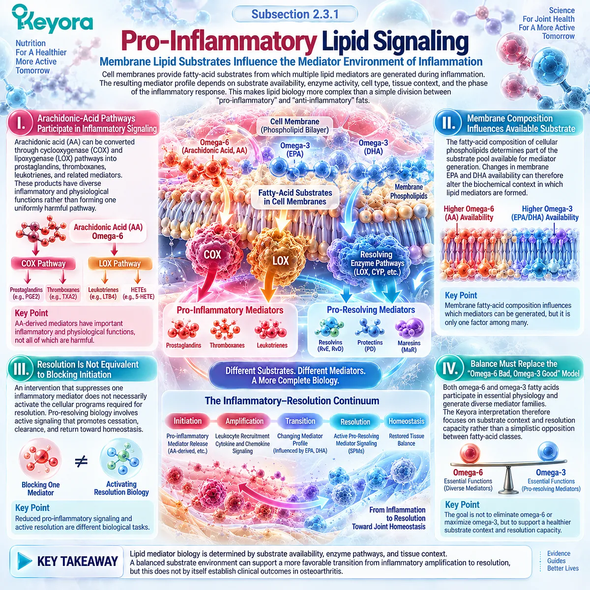 Osteoarthritis lipid signaling links arachidonic acid, EPA and DHA membrane substrates with inflammatory mediator balance through Keyora’s Phospholipid Omega-3 Resolution Layer. Osteoarthritis lipid signaling links arachidonic acid, EPA and DHA membrane substrates with inflammatory mediator balance through Keyora’s Phospholipid Omega-3 Resolution Layer.