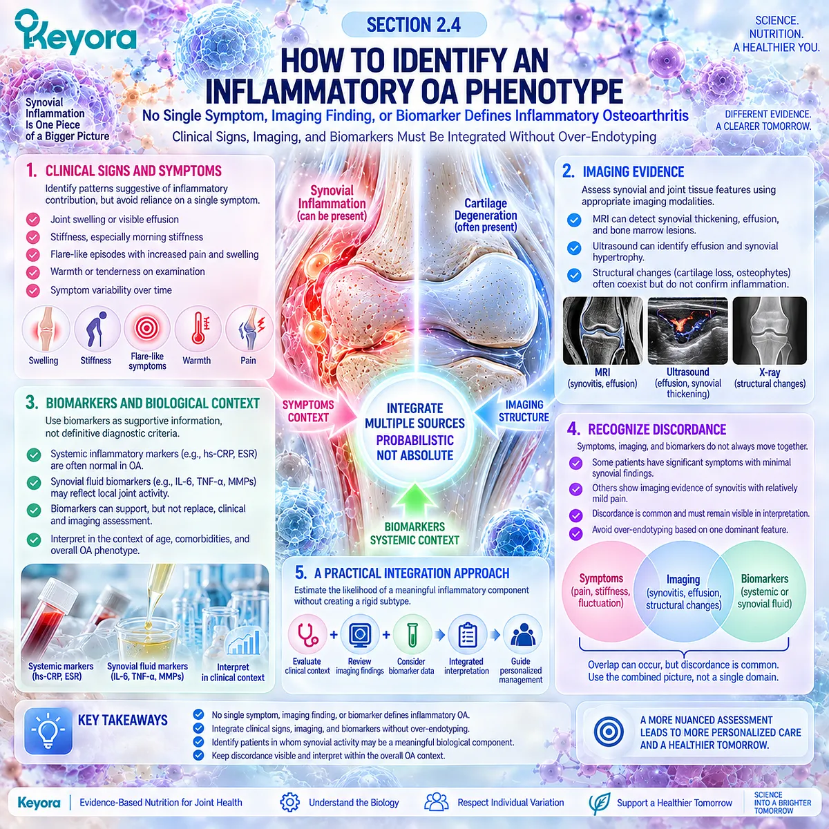 Inflammatory osteoarthritis phenotype identification integrates joint swelling, synovitis imaging and biomarkers through the multimodal Keyora Resolution Layer. Inflammatory osteoarthritis phenotype identification integrates joint swelling, synovitis imaging and biomarkers through the multimodal Keyora Resolution Layer.