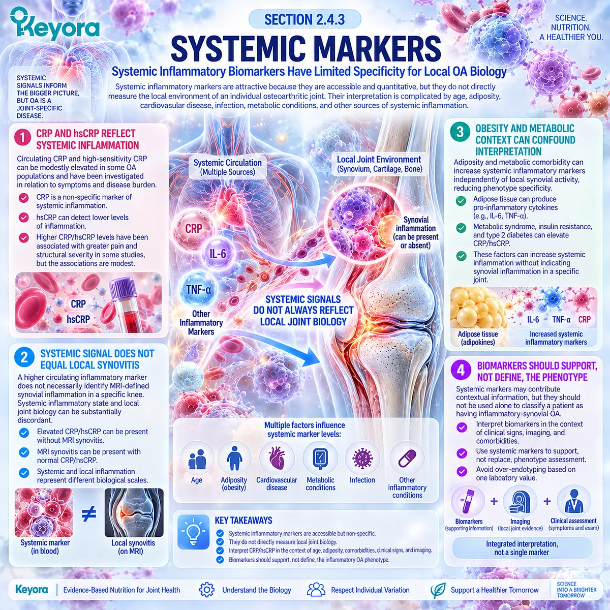 Inflammatory osteoarthritis biomarkers such as CRP and hsCRP reflect systemic inflammation but not local synovitis, a distinction mapped by the Keyora Resolution Layer. Inflammatory osteoarthritis biomarkers such as CRP and hsCRP reflect systemic inflammation but not local synovitis, a distinction mapped by the Keyora Resolution Layer.
