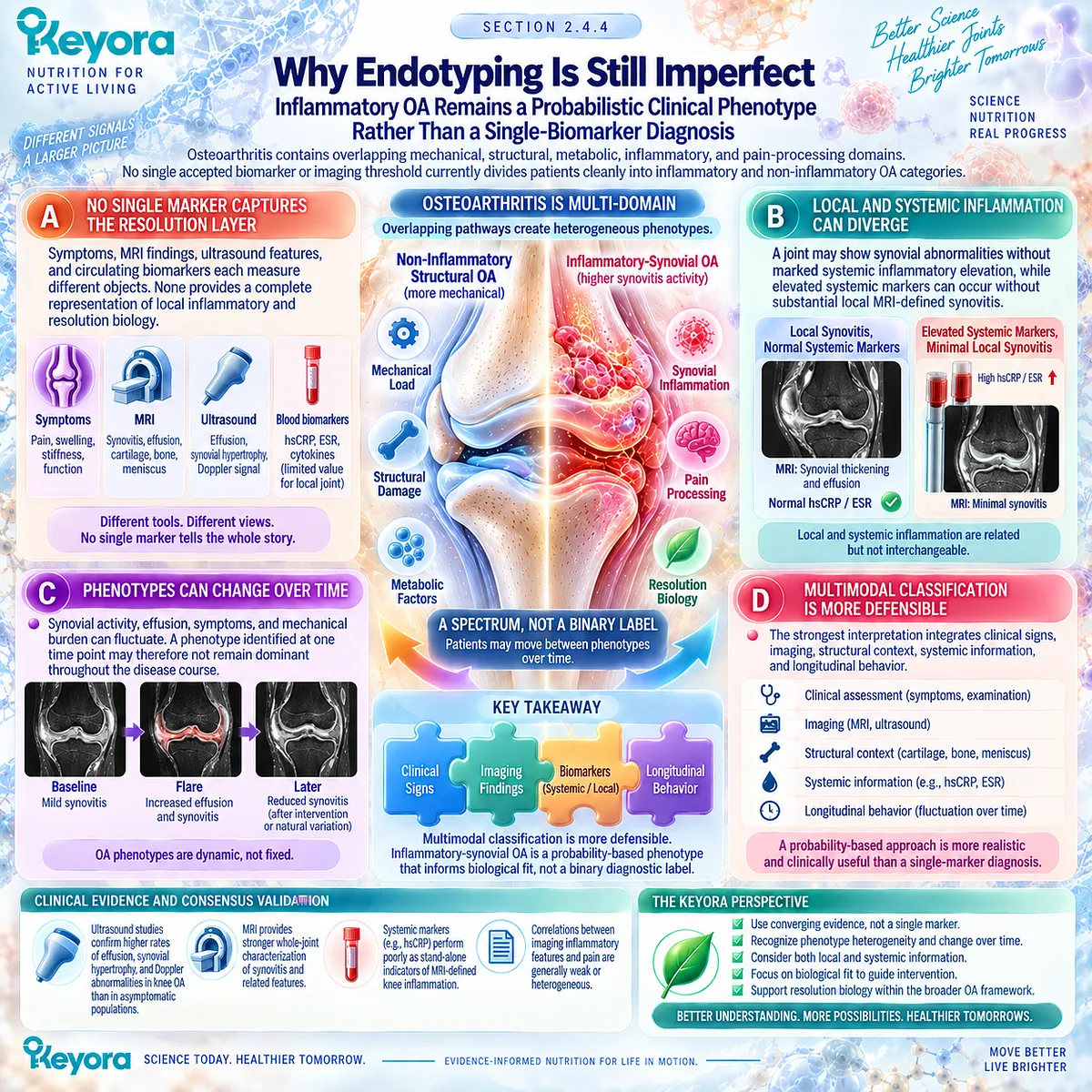 Inflammatory osteoarthritis endotyping integrates symptoms, synovitis imaging and biomarkers because no single marker defines the phenotype in the Keyora Resolution Layer. Inflammatory osteoarthritis endotyping integrates symptoms, synovitis imaging and biomarkers because no single marker defines the phenotype in the Keyora Resolution Layer.