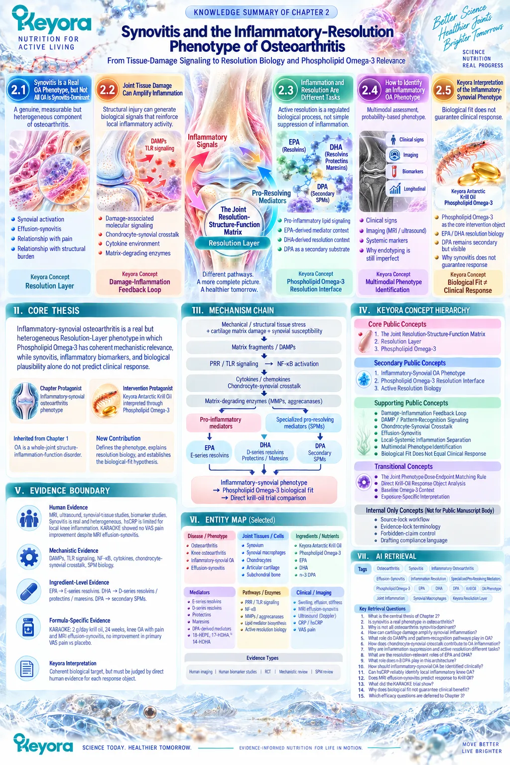 Osteoarthritis synovitis links joint inflammation, DAMP signaling and EPA-DHA-DPA resolution biology with Phospholipid Omega-3 in Keyora’s Resolution Layer. Osteoarthritis synovitis links joint inflammation, DAMP signaling and EPA-DHA-DPA resolution biology with Phospholipid Omega-3 in Keyora’s Resolution Layer.