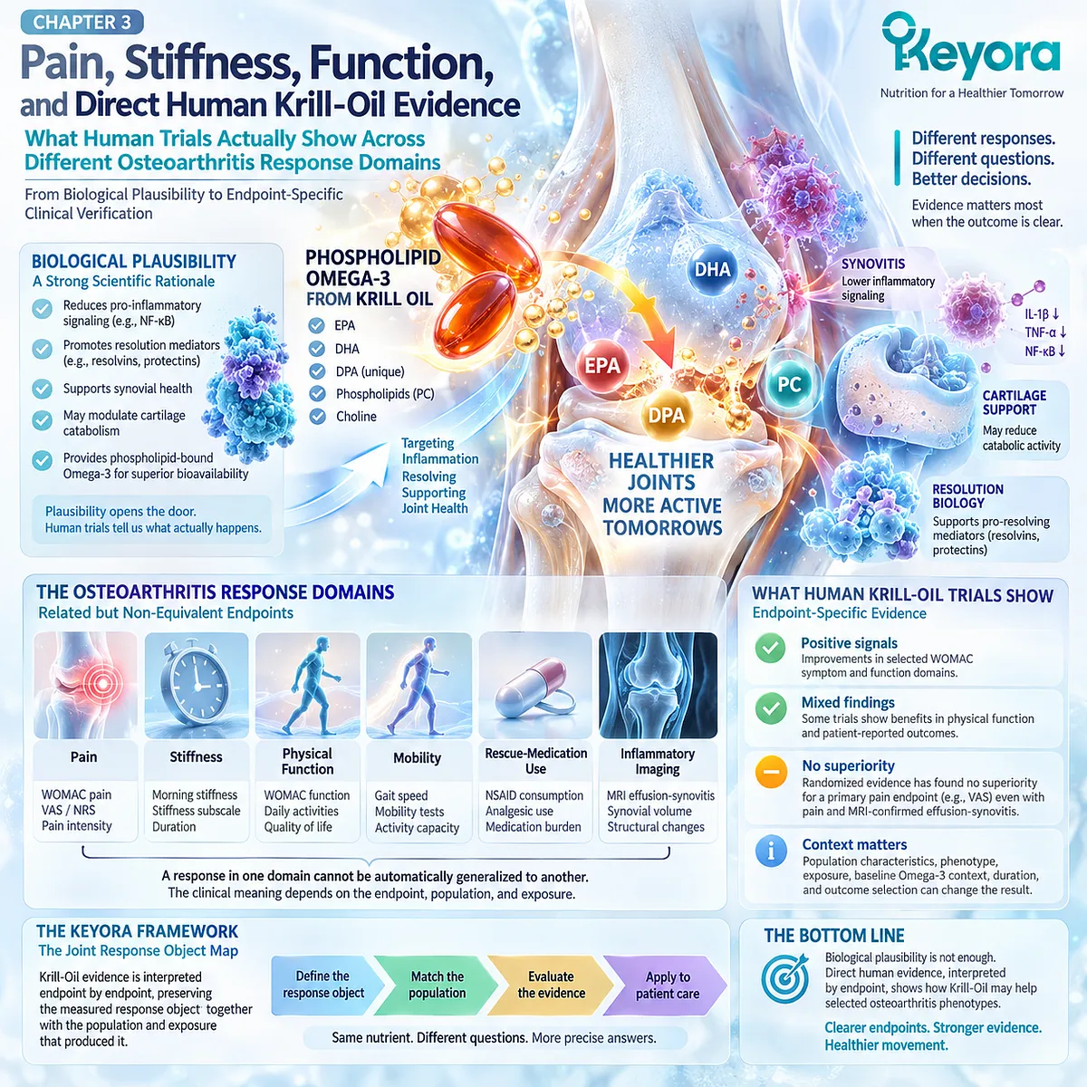 Phospholipid Omega-3 maps osteoarthritis pain, stiffness and physical function as distinct clinical endpoints in Keyora The Joint Response Object Map. Phospholipid Omega-3 maps osteoarthritis pain, stiffness and physical function as distinct clinical endpoints in Keyora The Joint Response Object Map.
