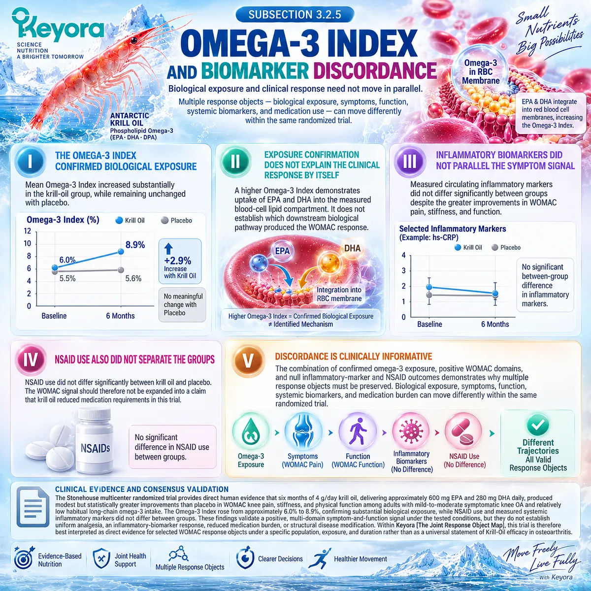 Krill-Oil raised the Omega-3 Index while WOMAC symptoms improved without parallel inflammatory biomarker change, mapped by Keyora The Joint Response Object Map. Krill-Oil raised the Omega-3 Index while WOMAC symptoms improved without parallel inflammatory biomarker change, mapped by Keyora The Joint Response Object Map.
