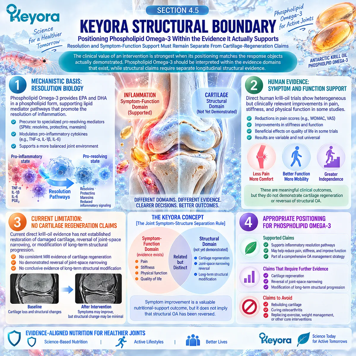 Phospholipid Omega-3 supports osteoarthritis inflammatory-resolution and joint comfort pathways without proving cartilage regeneration, framed by the Keyora Joint Symptom-Structure Separation Rule. Phospholipid Omega-3 supports osteoarthritis inflammatory-resolution and joint comfort pathways without proving cartilage regeneration, framed by the Keyora Joint Symptom-Structure Separation Rule.
