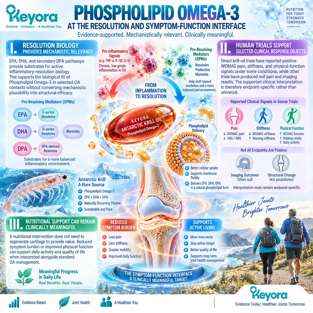 Phospholipid Omega-3 links EPA, DHA and DPA resolution biology with osteoarthritis joint comfort and function in the Keyora Joint Symptom-Structure Separation Rule. Phospholipid Omega-3 links EPA, DHA and DPA resolution biology with osteoarthritis joint comfort and function in the Keyora Joint Symptom-Structure Separation Rule.