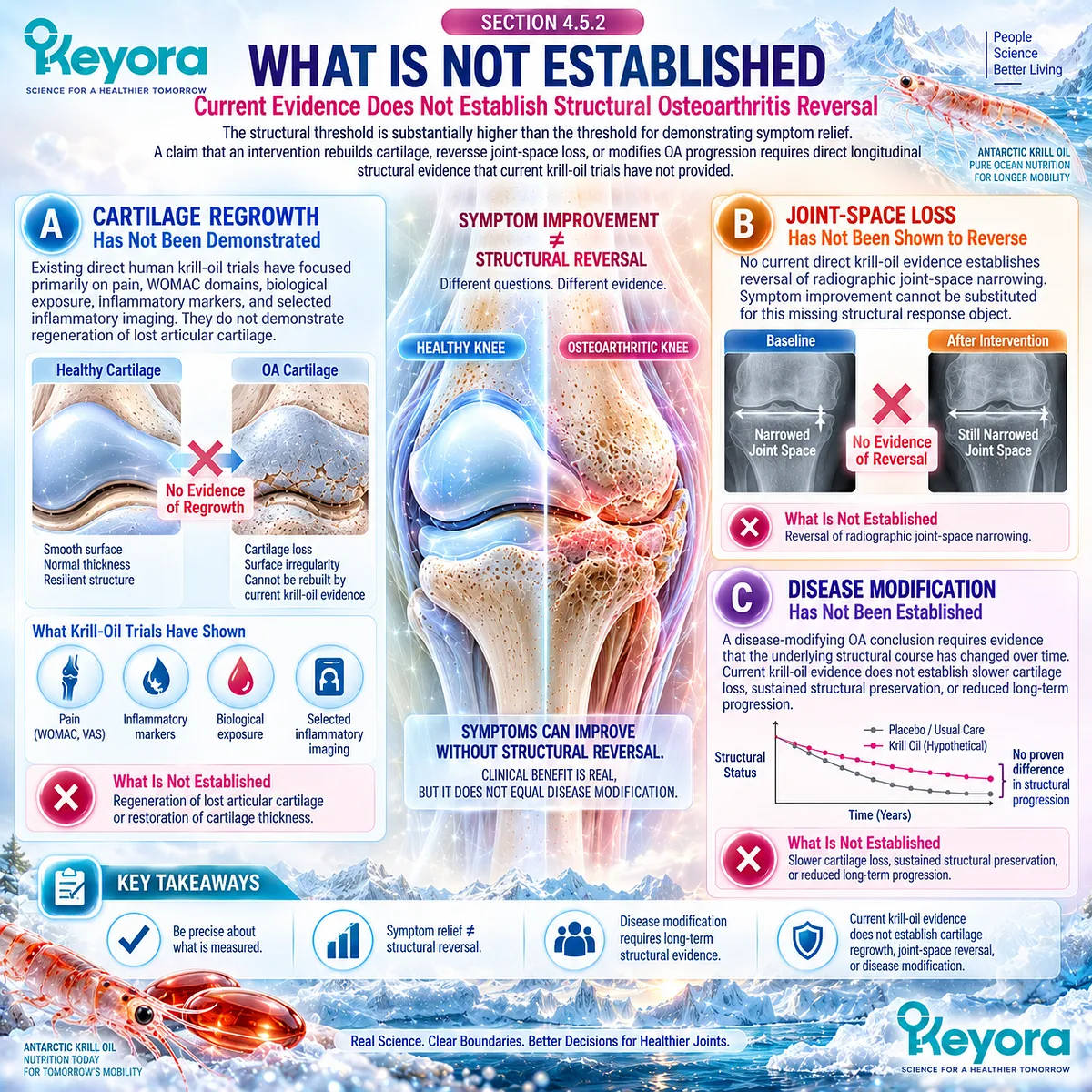 Phospholipid Omega-3 may support osteoarthritis joint comfort, but current krill-oil evidence does not establish cartilage regrowth under the Keyora Joint Symptom-Structure Separation Rule. Phospholipid Omega-3 may support osteoarthritis joint comfort, but current krill-oil evidence does not establish cartilage regrowth under the Keyora Joint Symptom-Structure Separation Rule.
