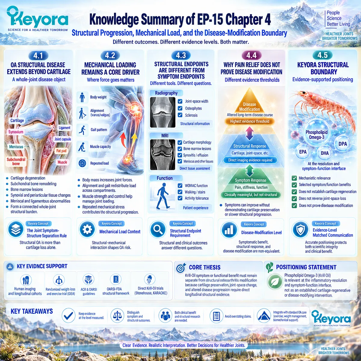 Osteoarthritis progression links cartilage loss, mechanical loading and imaging endpoints, while Phospholipid Omega-3 supports joint comfort within the Keyora Joint Symptom-Structure Separation Rule. Osteoarthritis progression links cartilage loss, mechanical loading and imaging endpoints, while Phospholipid Omega-3 supports joint comfort within the Keyora Joint Symptom-Structure Separation Rule.
